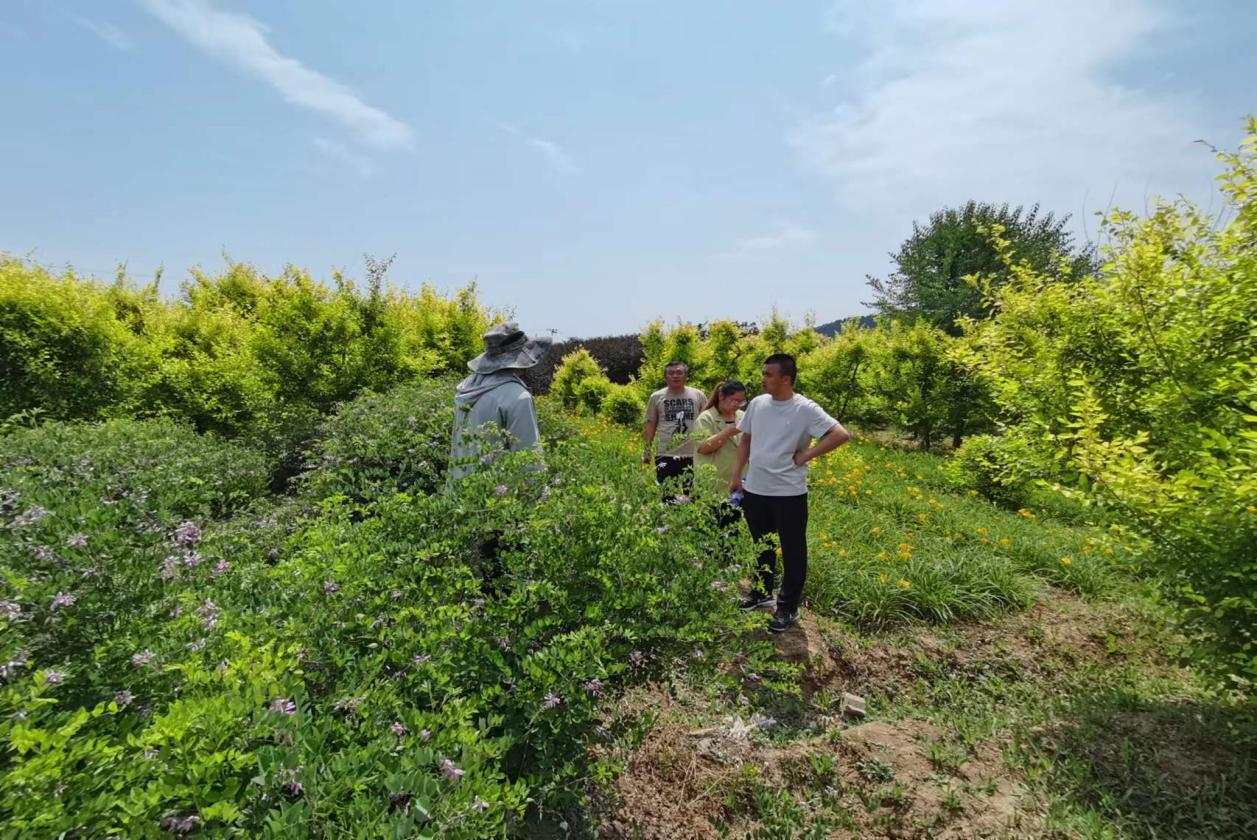 1718958745187691.png 圖片1.png